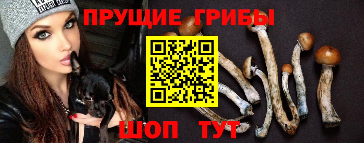 Галлюциногенные грибы мицелий  Вход с VPN  где купить наркотик  Добрянка 